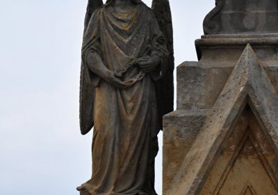 Tisová u Vysokého Mýta, Omnium, 2017