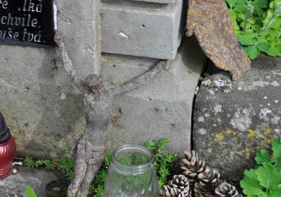 Tisová u Vysokého Mýta, Omnium, 2017