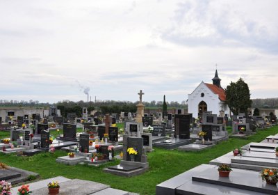 Vysoká nad Labem, Omnium, 2017