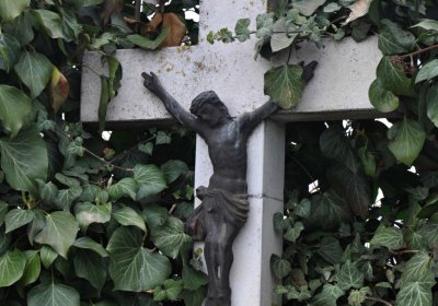 Vysoká nad Labem, Omnium, 2017