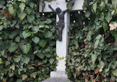 Vysoká nad Labem, Omnium, 2017