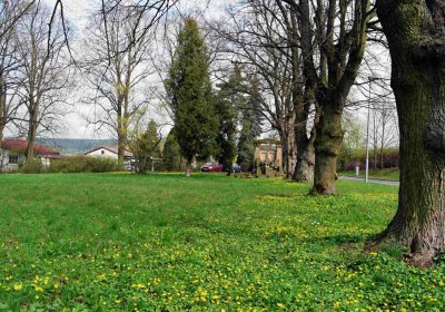 Dvůr Králové nad Labem, židovský hřbitov, Šimůnek Tomáš, 2017