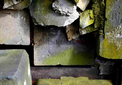 Dvůr Králové nad Labem, židovský hřbitov, Šimůnek Tomáš, 2017