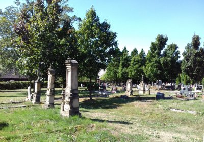 Kmínek Michal, 2018