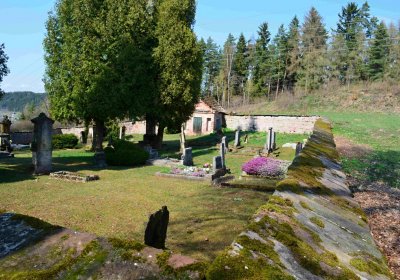 Stupná, Šimůnek Tomáš, 2017