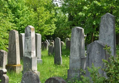 Malešov židovský hřbitov, Omnium, 2017