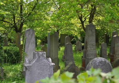 Malešov židovský hřbitov, Omnium, 2017