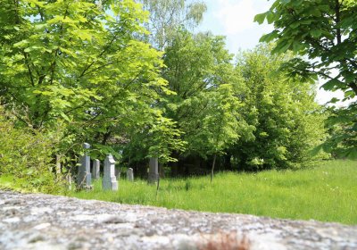 Malešov židovský hřbitov, Omnium, 2017