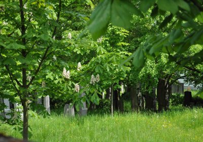 Malešov židovský hřbitov, Omnium, 2017