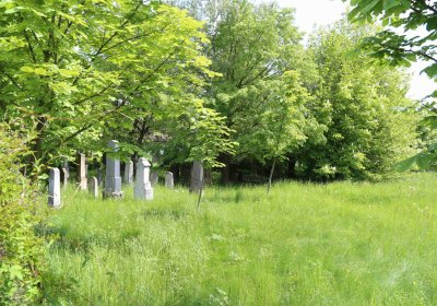 Malešov židovský hřbitov, Omnium, 2017