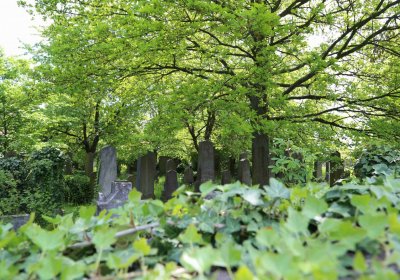 Malešov židovský hřbitov, Omnium, 2017