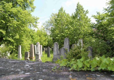 Malešov židovský hřbitov, Omnium, 2017