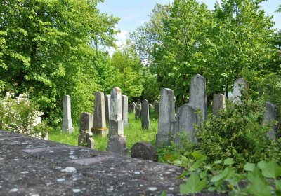 Malešov židovský hřbitov, Omnium, 2017