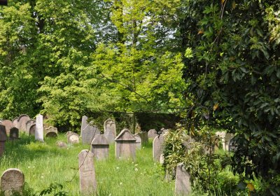 Malešov židovský hřbitov, Omnium, 2017