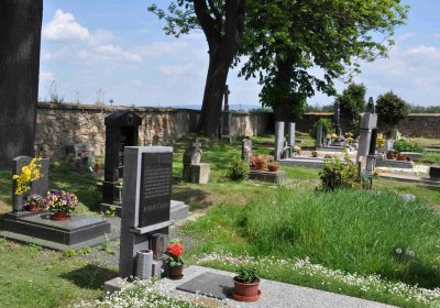 Kluky u Čáslavi, Omnium, 2017