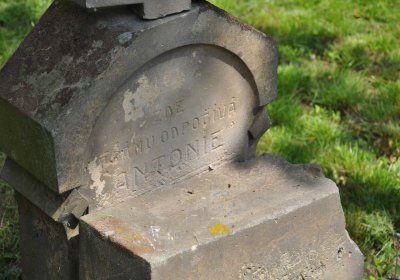 Kluky u Čáslavi, Omnium, 2017