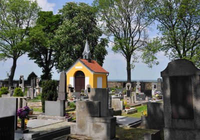 Kluky u Čáslavi, Omnium, 2017