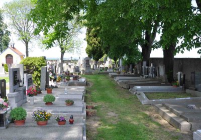 Kluky u Čáslavi, Omnium, 2017