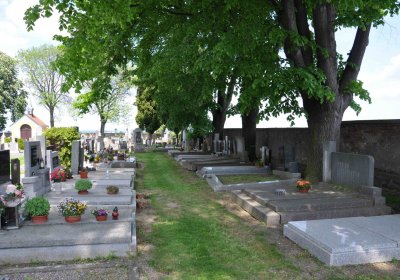 Kluky u Čáslavi, Omnium, 2017