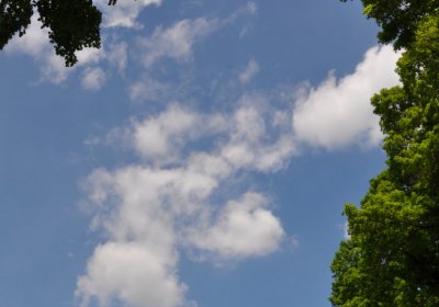 Kluky u Čáslavi, Omnium, 2017