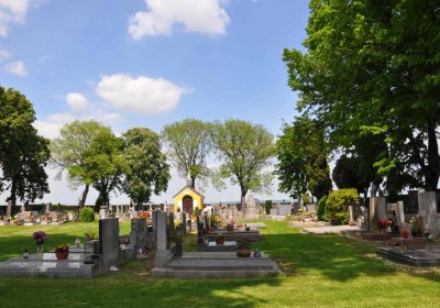 Kluky u Čáslavi, Omnium, 2017