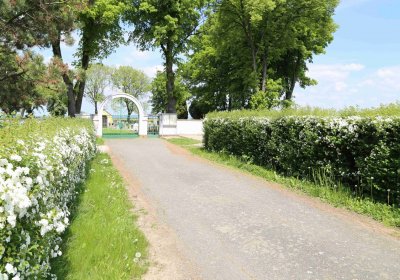 Kluky u Čáslavi, Omnium, 2017