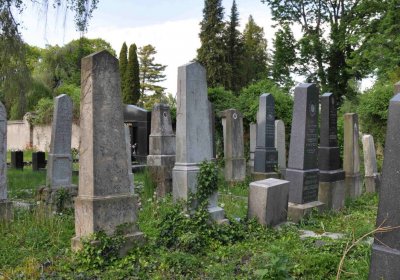 Čáslav - židovský hřbitov, Omnium, 2017