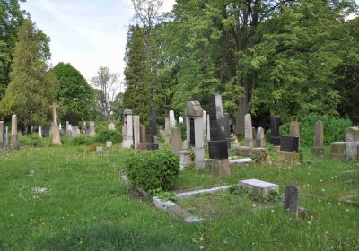 Čáslav - židovský hřbitov, Omnium, 2017