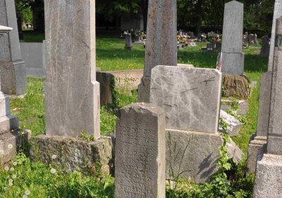 Čáslav - židovský hřbitov, Omnium, 2017