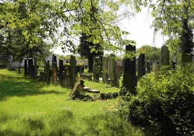 Čáslav - židovský hřbitov, Omnium, 2017