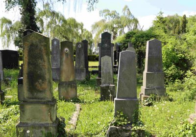 Čáslav - židovský hřbitov, Omnium, 2017