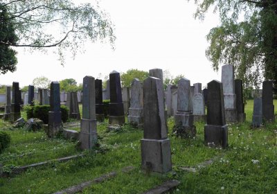 Čáslav - židovský hřbitov, Omnium, 2017