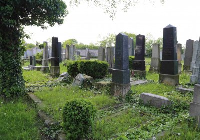 Čáslav - židovský hřbitov, Omnium, 2017