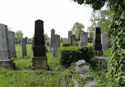 Čáslav - židovský hřbitov, Omnium, 2017