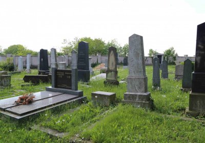 Čáslav - židovský hřbitov, Omnium, 2017