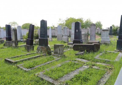 Čáslav - židovský hřbitov, Omnium, 2017