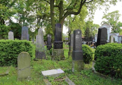 Čáslav - židovský hřbitov, Omnium, 2017