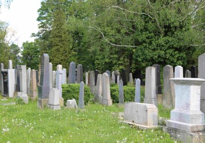 Čáslav - židovský hřbitov, Omnium, 2017