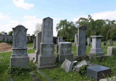 Čáslav - židovský hřbitov, Omnium, 2017