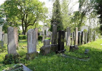 Čáslav - židovský hřbitov, Omnium, 2017