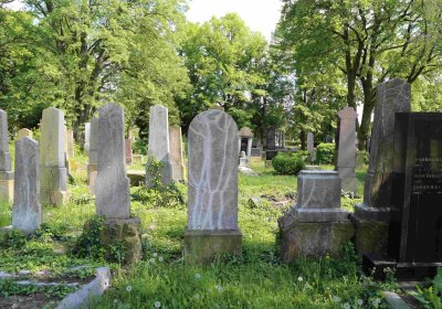 Čáslav - židovský hřbitov, Omnium, 2017