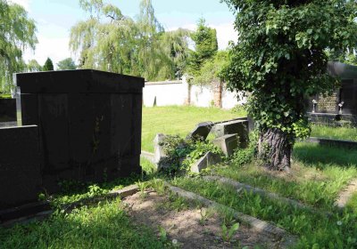 Čáslav - židovský hřbitov, Omnium, 2017