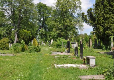 Městský hřbitov Čáslav, Omnium, 2017