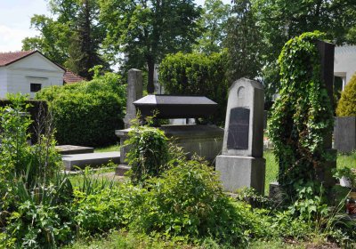 Městský hřbitov Čáslav, Omnium, 2017