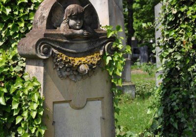 Městský hřbitov Čáslav, Omnium, 2017