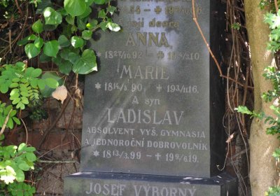 Městský hřbitov Čáslav, Omnium, 2017