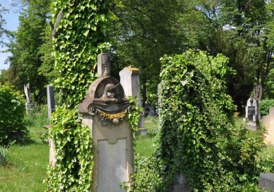 Městský hřbitov Čáslav, Omnium, 2017