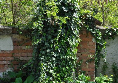 Městský hřbitov Čáslav, Omnium, 2017