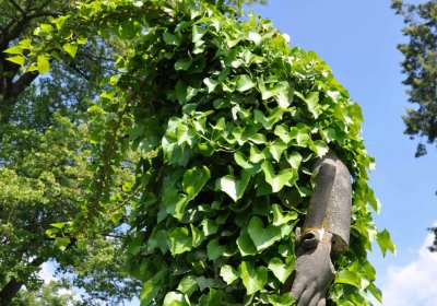 Městský hřbitov Čáslav, Omnium, 2017