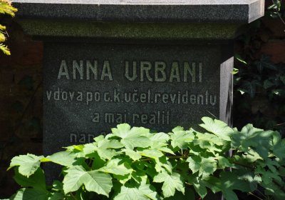 Městský hřbitov Čáslav, Omnium, 2017